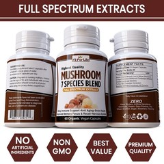 Organic Mushroom Complex 7 Blend Lions Mane Reishi Cordyceps Immune 60 Caps Lion