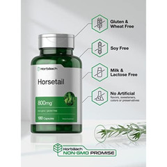 Horbaach Horsetail Herb Extract 800mg NonGmo Gluten Free Supplement 180 Capsule