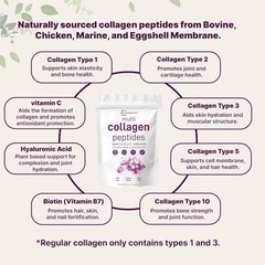 3 PACK Multi Collagen Peptides Powder 1 lb Hydrolyzed Protein Peptide