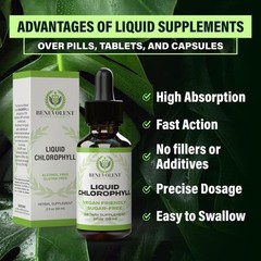 Mint Chlorophyll Liquid Drops Daily Gut Liver Wellness Plant Blend