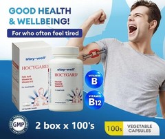2 x 100’s Stay-well Hocygard Vitamin B6 B12 Complex Folic Acid Supplement