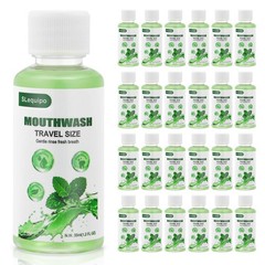 Travel Size Mouthwash Bulk Mini Fresh Mint 0.02 Fl Oz (Pack of 50), Green