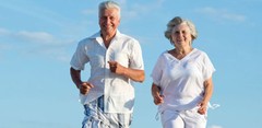 Holistic Mushroom Therapy – PROSTATE SUPPORT – Full-Body Saw Palmetto 1B