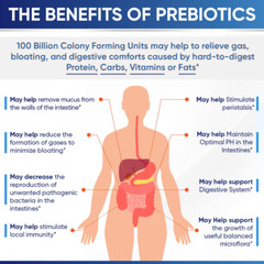 Probiotic Lactobacillus Reuteri 100B CFU -High Potency 60 Caps Digestive Support