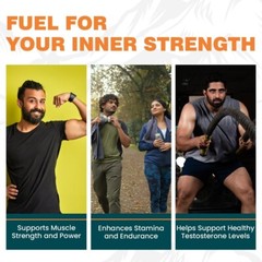 Himalaya Shilajeet Bio Energy Boost I 60 Capsules | Worldwide Free Shipping!