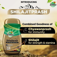Zandu Shilajitprash Ayurvedic Strength Stamina Immunity Chyawanprash Blend 450g