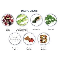 SIC SUPERLIFE Immune Care Provide Improves Gut Health , Strengthen Immune System