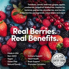 Polyphenol-Rich Super Reds – 20 Serving Superfood Powder, Berry Flavor
