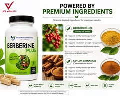 Berberine Plus 1200mg Per Serving -120 Veggie Capsules Royal Jelly Supports
