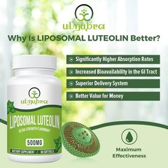 Liposomal Luteolin 500MG, Maximum Absorption, Potent Flavonoid, 60 Softgels, …