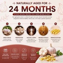 Aged Garlic Extract 300 Aged Odorless Garlic Extract Softgels, Vitalisse AJO…