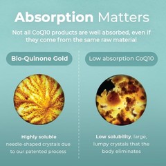 CoQ10 100mg Softgels – High Absorption, Heart Health, Antioxidant, Gluten-Free,