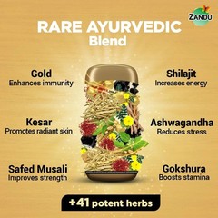 Zandu Shilajitprash Ayurvedic Strength Stamina Immunity Chyawanprash Blend 450g