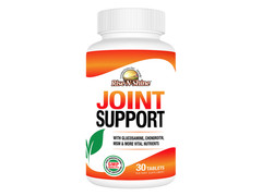 Joint Support by Rise-N-Shine – Glucosamine Chondroitin MSM Mobility Capsules