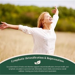 1-5x LUMVELLE Wild Harvested Wormwood Herbal Liquid Botanical Supplement Drops