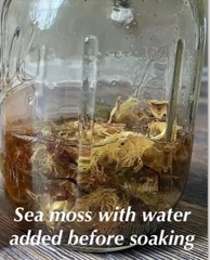 WILDCRAFTED Purple Sea Moss 20oz (from Jamaica) READ FIRST!!!! NOT BY WEIGHT