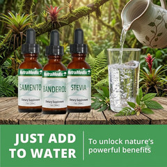 NutraMedix Burbur Pinella Detox Drops Brain & Nerve Support Liquid 2 oz 60ml