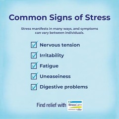 Stress Calm 60 Tabs By Boiron