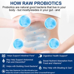 Digestive Enzymes w/ Prebiotic & Probiotics, Gas, Constipation & Bloating Relief