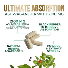 Ashwagandha Supplements – Premium Capsule 120 Count