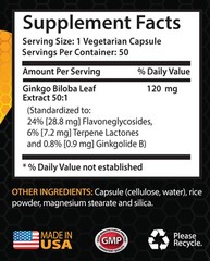 ginkgo biloba capsules – GINKGO BILOBA 120 mg – antidepressant – 3 Bottles
