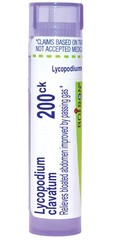 Boiron Lycopodium Clavatum 200C Homeopathic 80 Count (Pack of 1), Purple