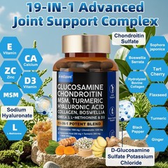 2 Pack Glucosamine Chondroitin Turmeric MSM Triple Strength Joint Support 240ct
