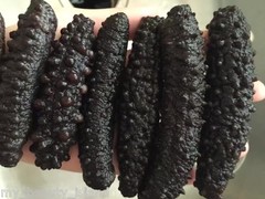 Natural Dried Wild Sea Cucumber,岩刺参,Holothuria Mammata,Grade AAA,1LB