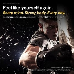 Formulation Factory Self Obsessed Masculine Vitality & Testosterone Support…