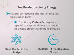 Vertera Gastrofood 7 Sachets Gut Health Support for Digestion and Detoxification
