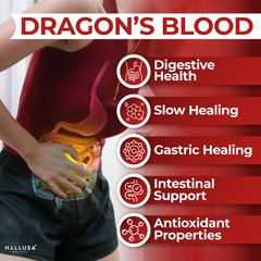 DRAGON’S BLOOD – Natural Resin – Wound Healing – Antioxidant – Ulcers 60 Cap