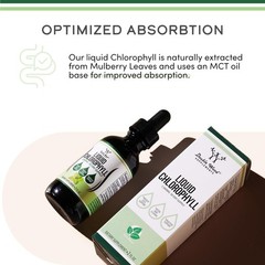 2oz Chlorophyll Liquid Drops for Gut Health & Energy – Peppermint Flavor