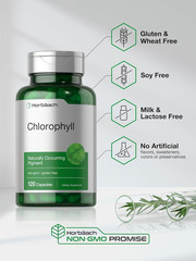 Chlorophyll Capsules 60mg from Mulberry Leaf | 120 Count | Non-GMO, Gluten Free