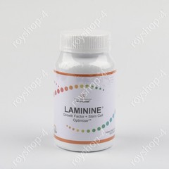 AUTHENTIC LifePharm Laminine Supplement 120 Capsules Total – EXP 07/2027! US
