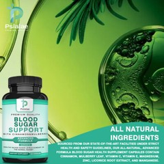 Blood Sugar Support – with Gymnema Sylvestre – Blood Sugar Balance and Control