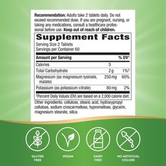 Nature’s Way Krebs Magnesium Potassium Complex, 120 Count (Pack of 1)