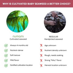 30 Servings of Atlantic Dulse Flakes – Mild Taste, Eco-Friendly Packaging