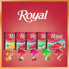 Royal Gelatin Sugar Free Variety Pack of 12-3 Boxes Each Flavor