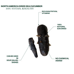 North America Dried Sea Cucumber (small 8oz 30-35pc）美国八角参野生海参 特级野生淡干加州八角参 小号 8oz