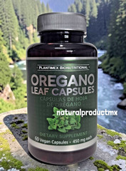 Hoja de Oregano Leaf ✅ 400mg each Oregano Oil Capsules 60 Vegan Capsules