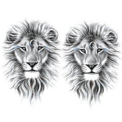 2 Sheets Arm Thigh Leg Waterproof Fake Temporary Tattoos Sticker Grey Lion