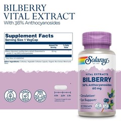 Bilberry Extract 60mg VegCaps – Vision & Circulatory Health Support, Vegan, 60 S