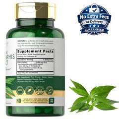 Extracto de Andrographis Paniculata 8000mg 90 Cápsulas | Suministro 3 Meses