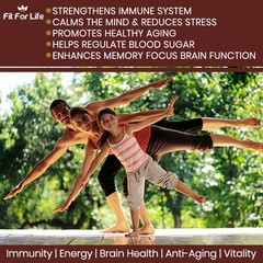 Organic Mushroom Complex 7 Blend Lions Mane Reishi Cordyceps Immune 60 Caps Lion