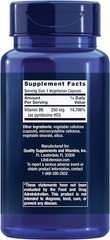Life Extension Vitamin B6 250 mg – 100 Vegetarian Capsules