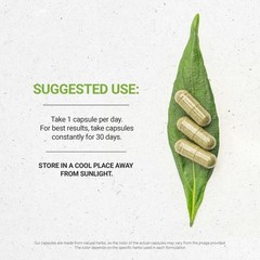 Secrets of the Tribe Barberry Root 120 Capsules, Made with Vegetable Capsules…