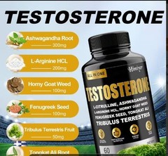Fish Oil Plus LeciThin and Testosterone- Brain , Heart , Immune Booster On Sale