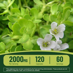 Bacopa Monnieri 2000mg -Relieve Anxiety and Stress,Brain Health & Memory Booster