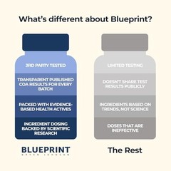 Blueprint Bryan Johnson Essential Capsules – Daily Multivitamin/Multimineral …