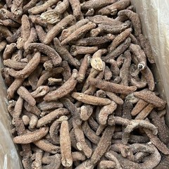 1LB Red sea cucumber natural sun dried from Alaska Size L 阿拉斯加红参..